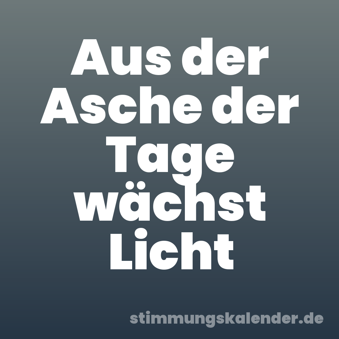 Aus der Asche der Tage wächst Licht