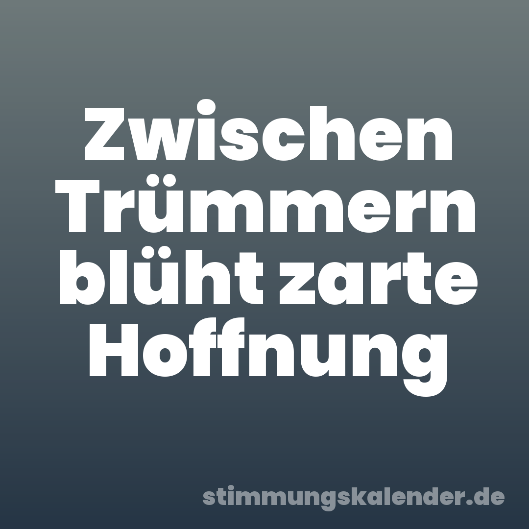 Zwischen Trümmern blüht zarte Hoffnung