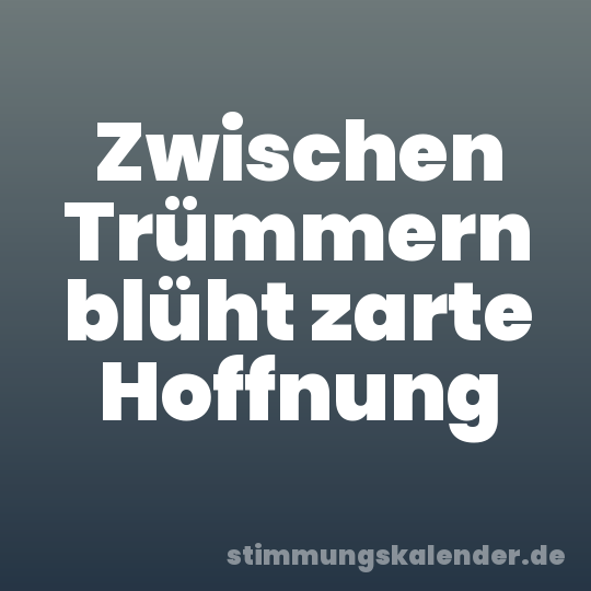Zwischen Trümmern blüht zarte Hoffnung