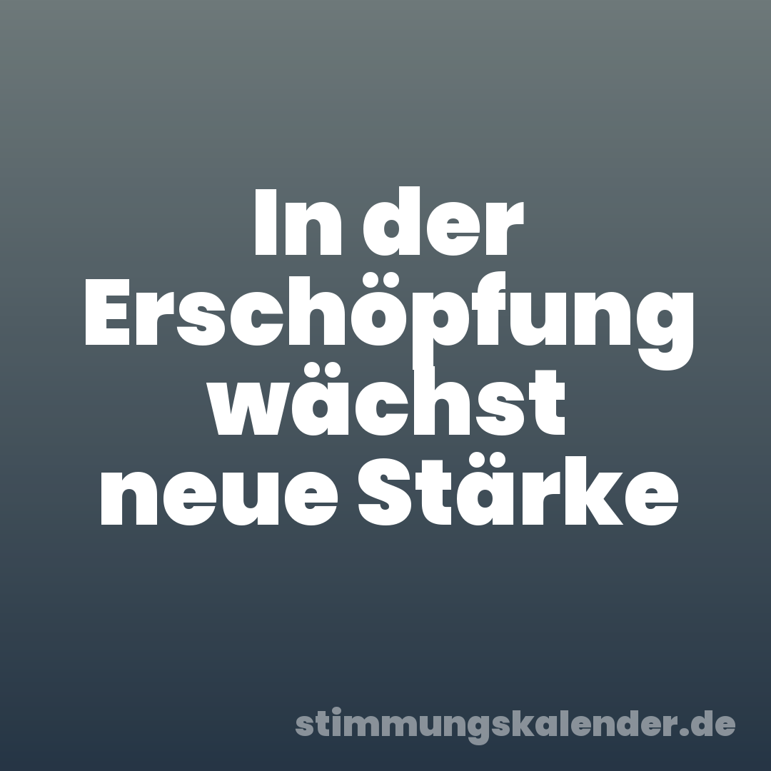 In der Erschöpfung wächst neue Stärke