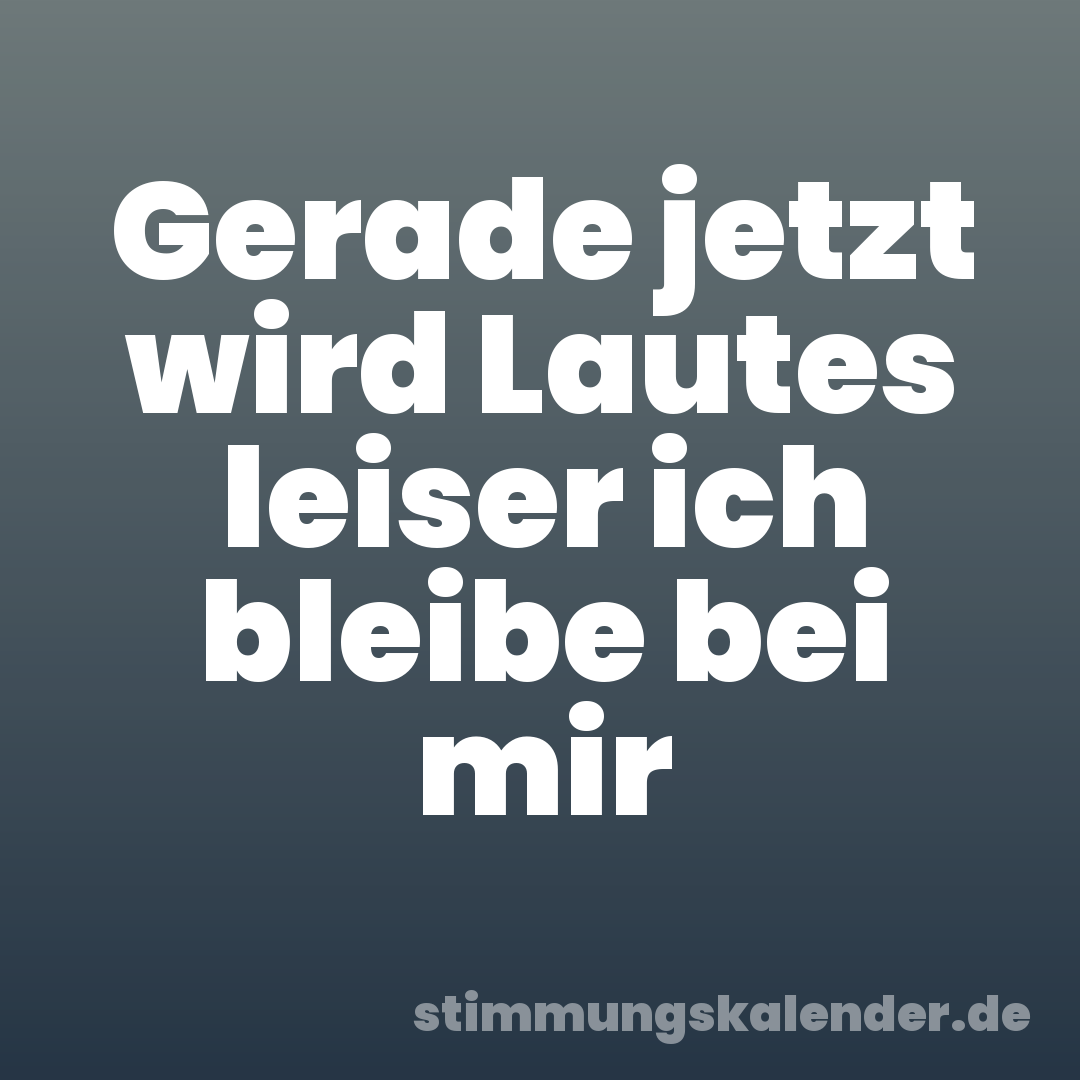 Gerade jetzt wird Lautes leiser ich bleibe bei mir