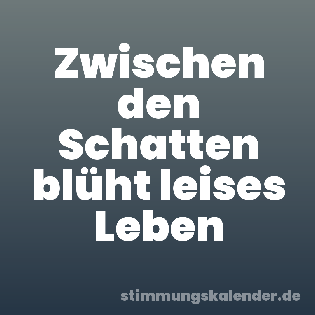 Zwischen den Schatten blüht leises Leben