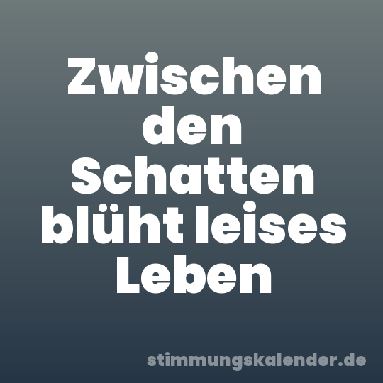 Zwischen den Schatten blüht leises Leben