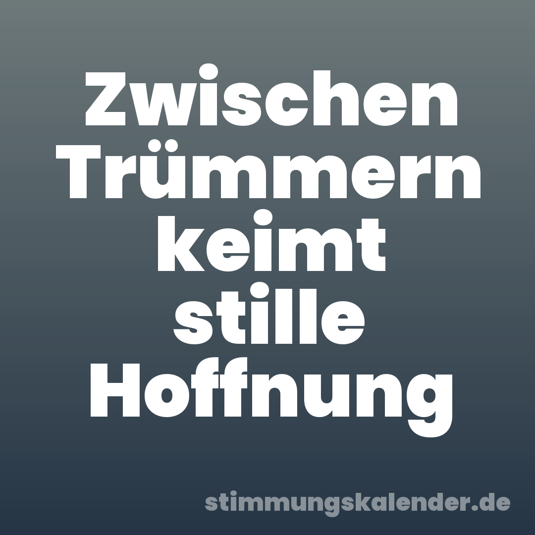 Zwischen Trümmern keimt stille Hoffnung