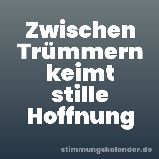 Zwischen Trümmern keimt stille Hoffnung