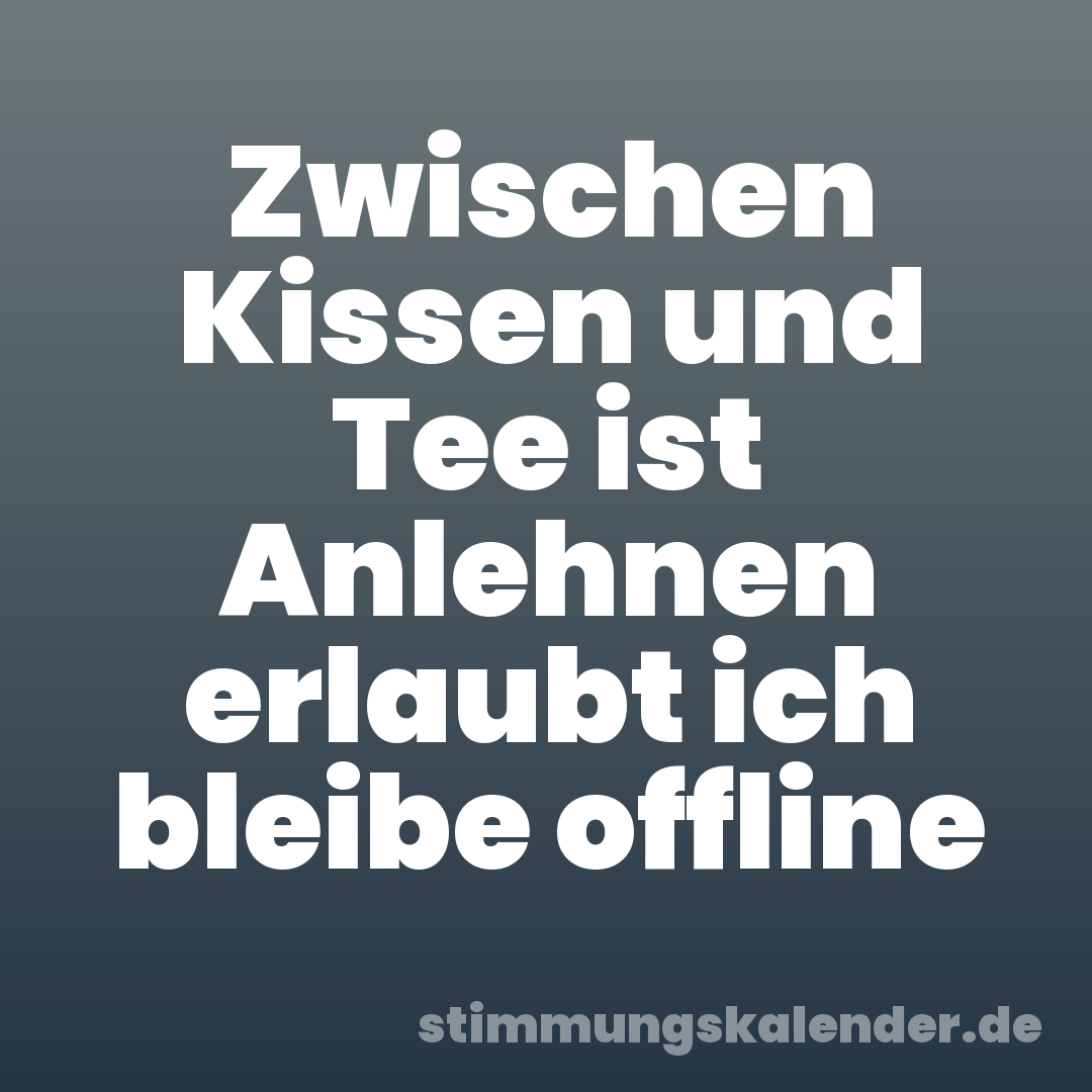 Zwischen Kissen und Tee ist Anlehnen erlaubt ich bleibe offline