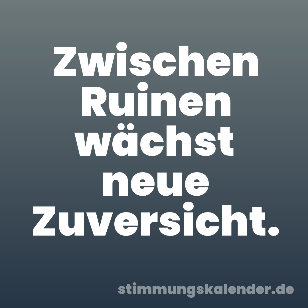 Zwischen Ruinen wächst neue Zuversicht.