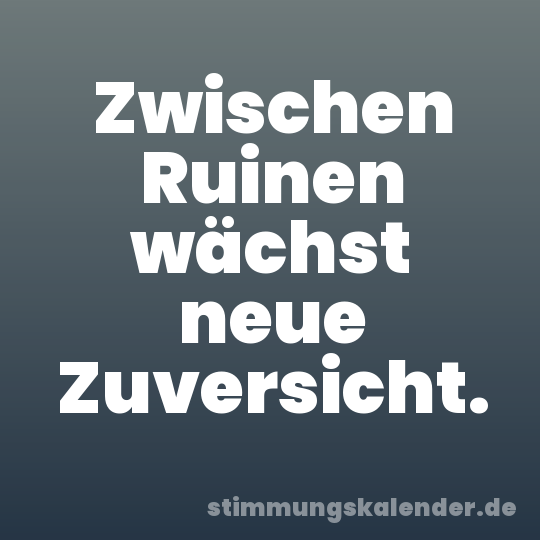 Zwischen Ruinen wächst neue Zuversicht.