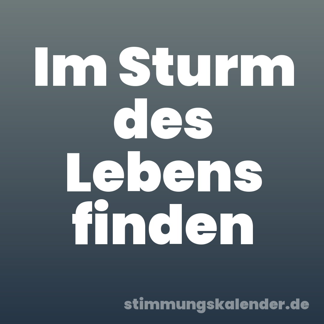 Im Sturm des Lebens finden