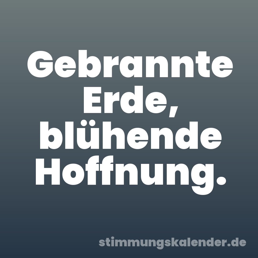 Gebrannte Erde, blühende Hoffnung.