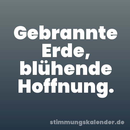 Gebrannte Erde, blühende Hoffnung.