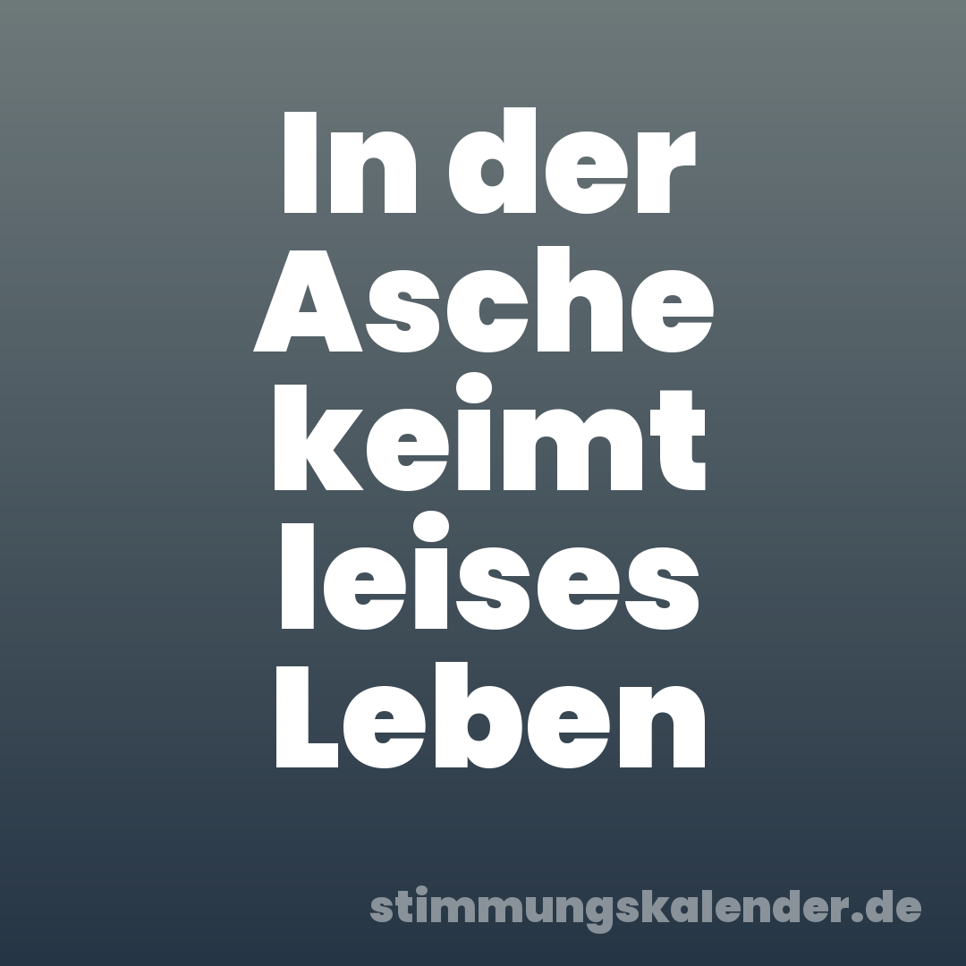 In der Asche keimt leises Leben