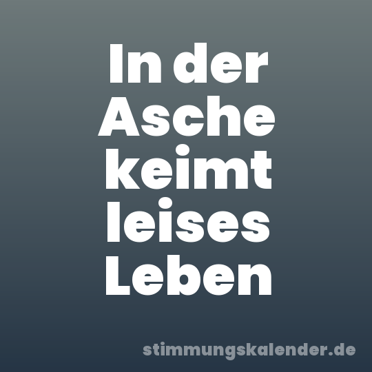 In der Asche keimt leises Leben