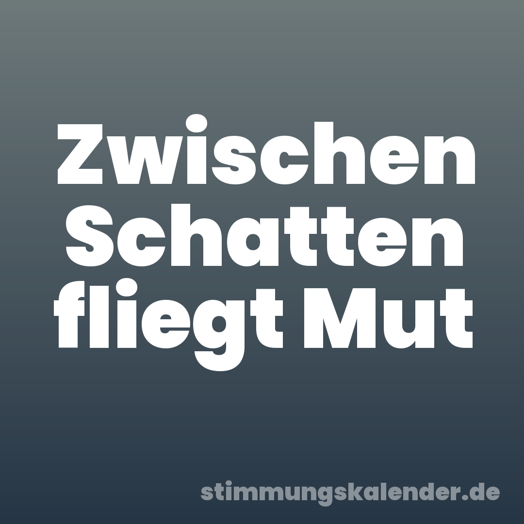 Zwischen Schatten fliegt Mut