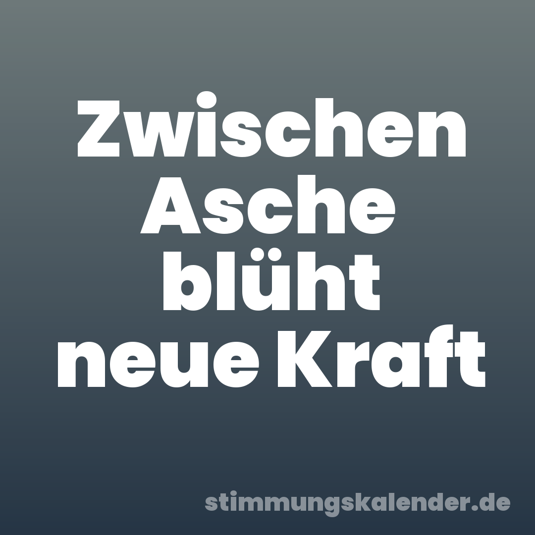 Zwischen Asche blüht neue Kraft