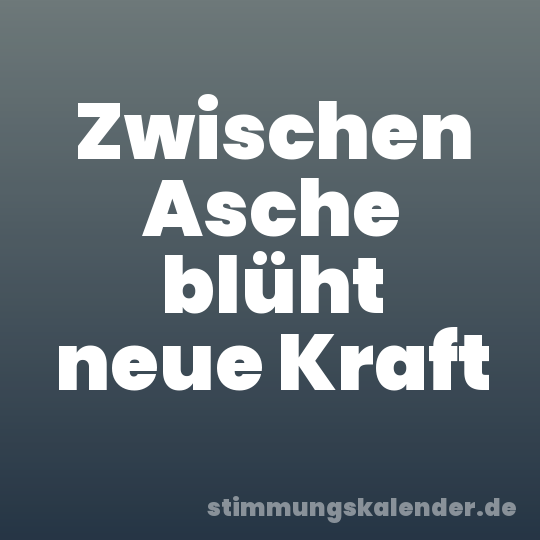 Zwischen Asche blüht neue Kraft