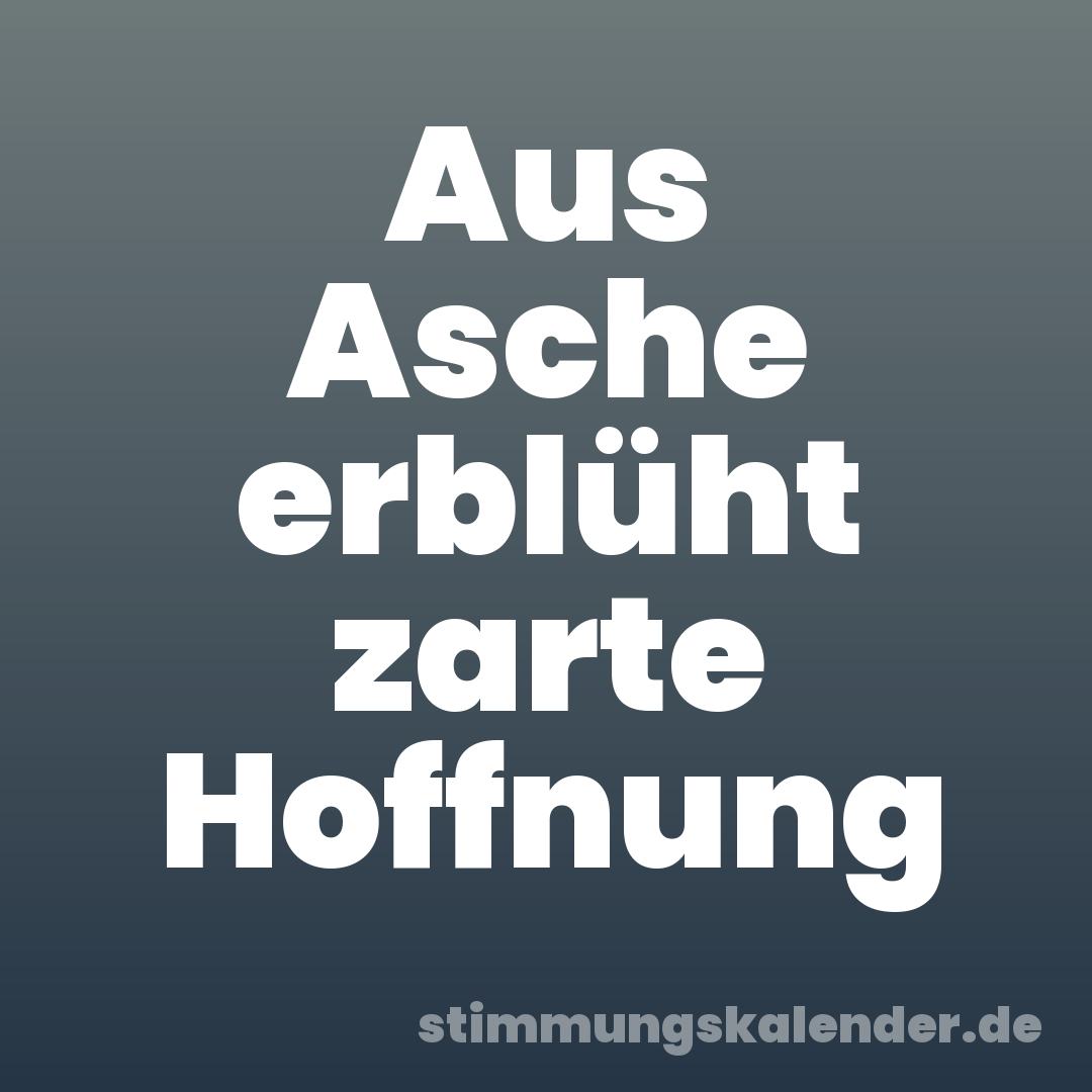 Aus Asche erblüht zarte Hoffnung