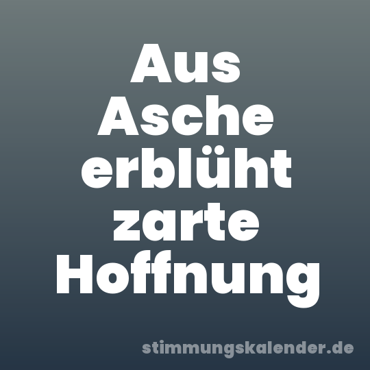 Aus Asche erblüht zarte Hoffnung