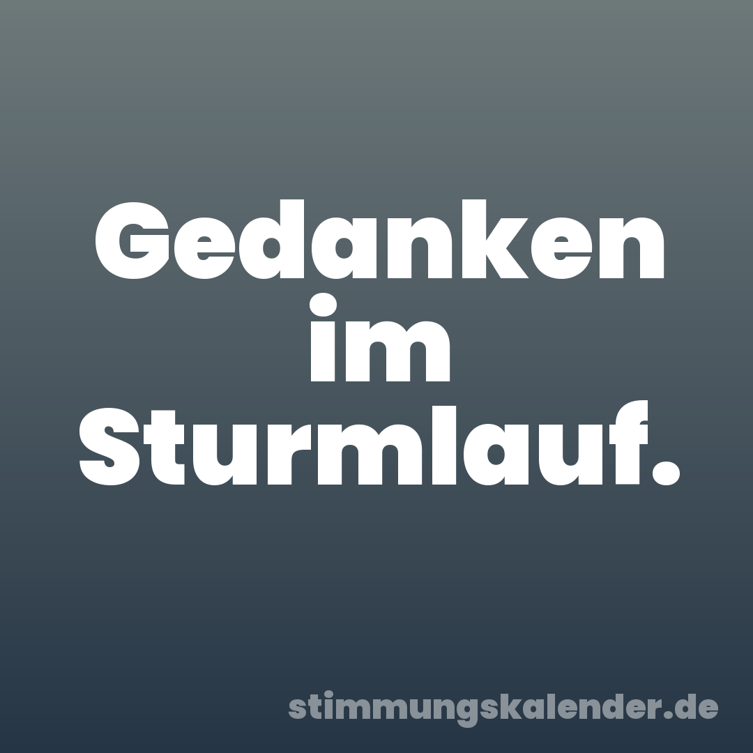 Gedanken im Sturmlauf.