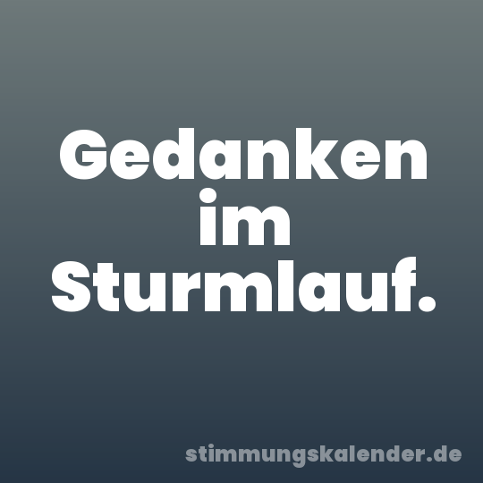 Gedanken im Sturmlauf.