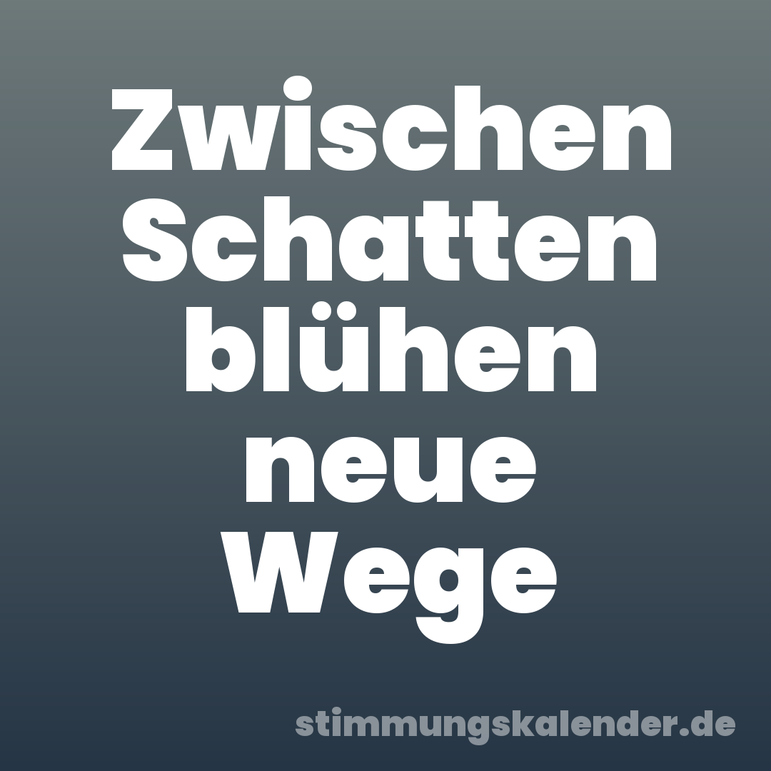 Zwischen Schatten blühen neue Wege