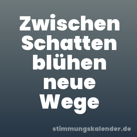 Zwischen Schatten blühen neue Wege