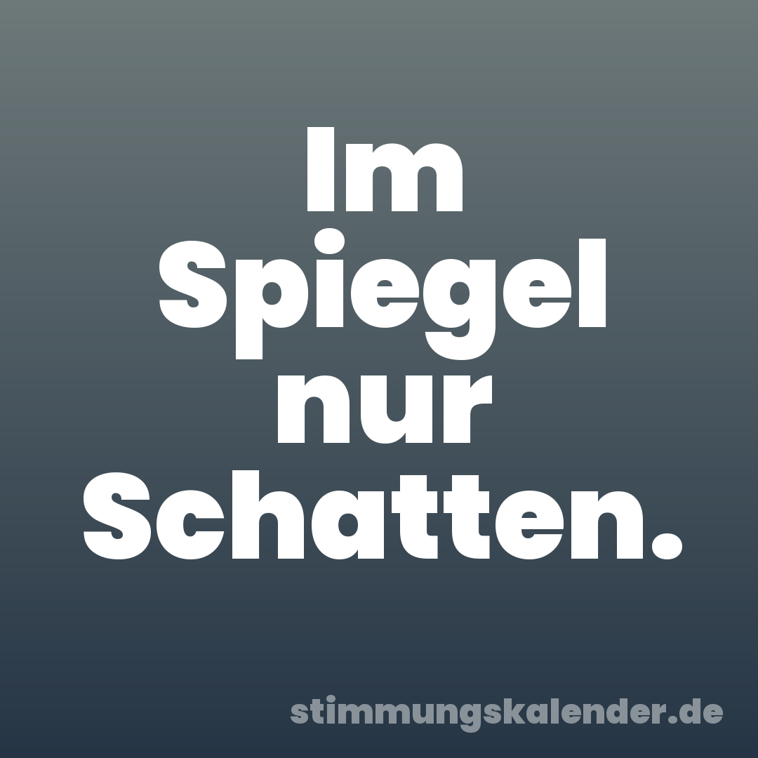 Im Spiegel nur Schatten.