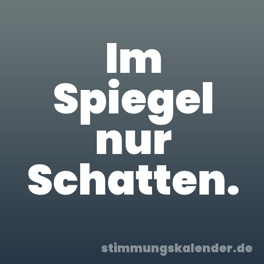 Im Spiegel nur Schatten.