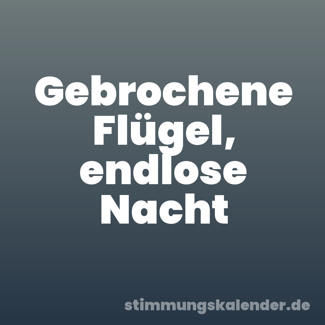 Gebrochene Flügel, endlose Nacht