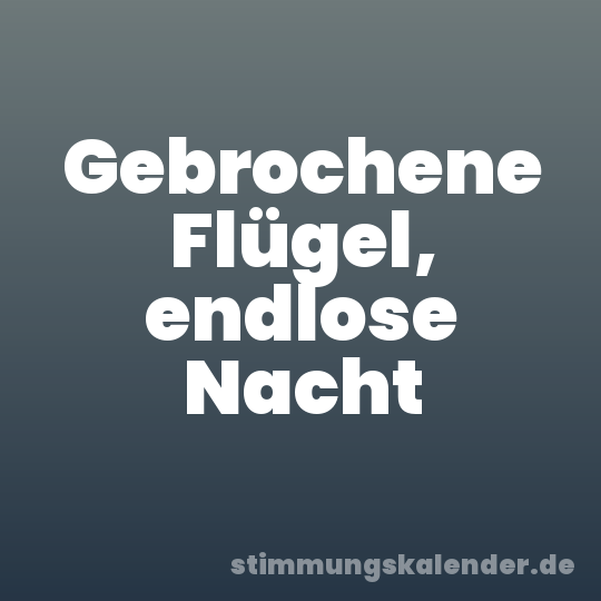 Gebrochene Flügel, endlose Nacht