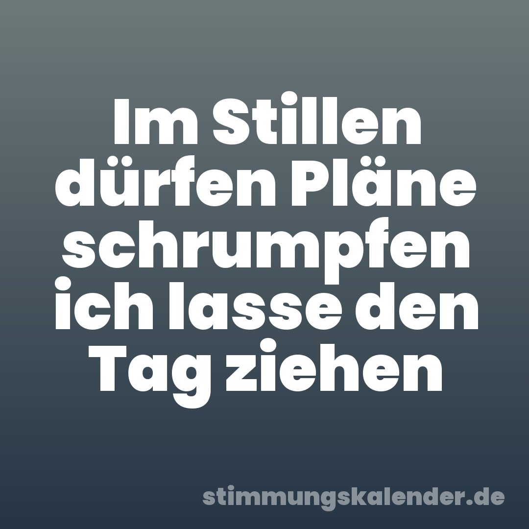 Im Stillen dürfen Pläne schrumpfen ich lasse den Tag ziehen