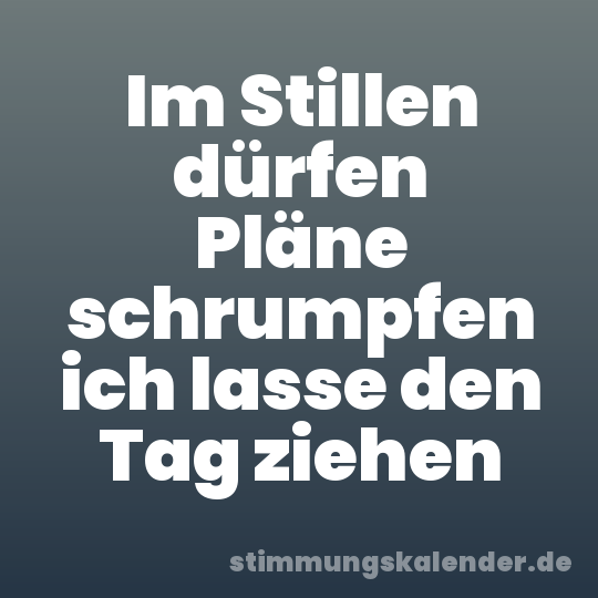 Im Stillen dürfen Pläne schrumpfen ich lasse den Tag ziehen