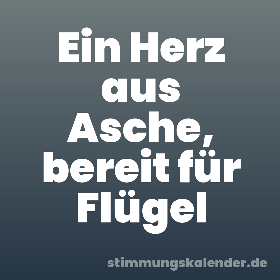 Ein Herz aus Asche, bereit für Flügel