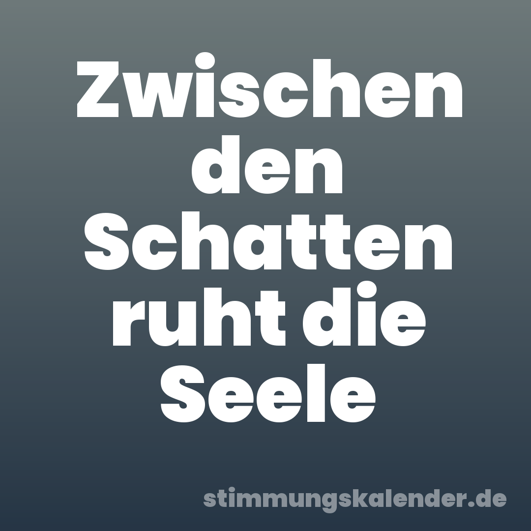 Zwischen den Schatten ruht die Seele