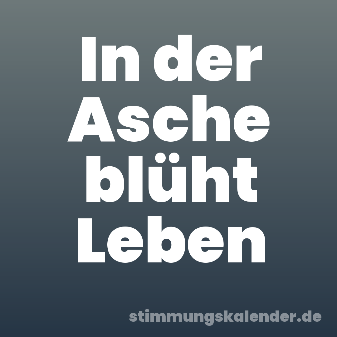 In der Asche blüht Leben