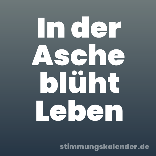 In der Asche blüht Leben