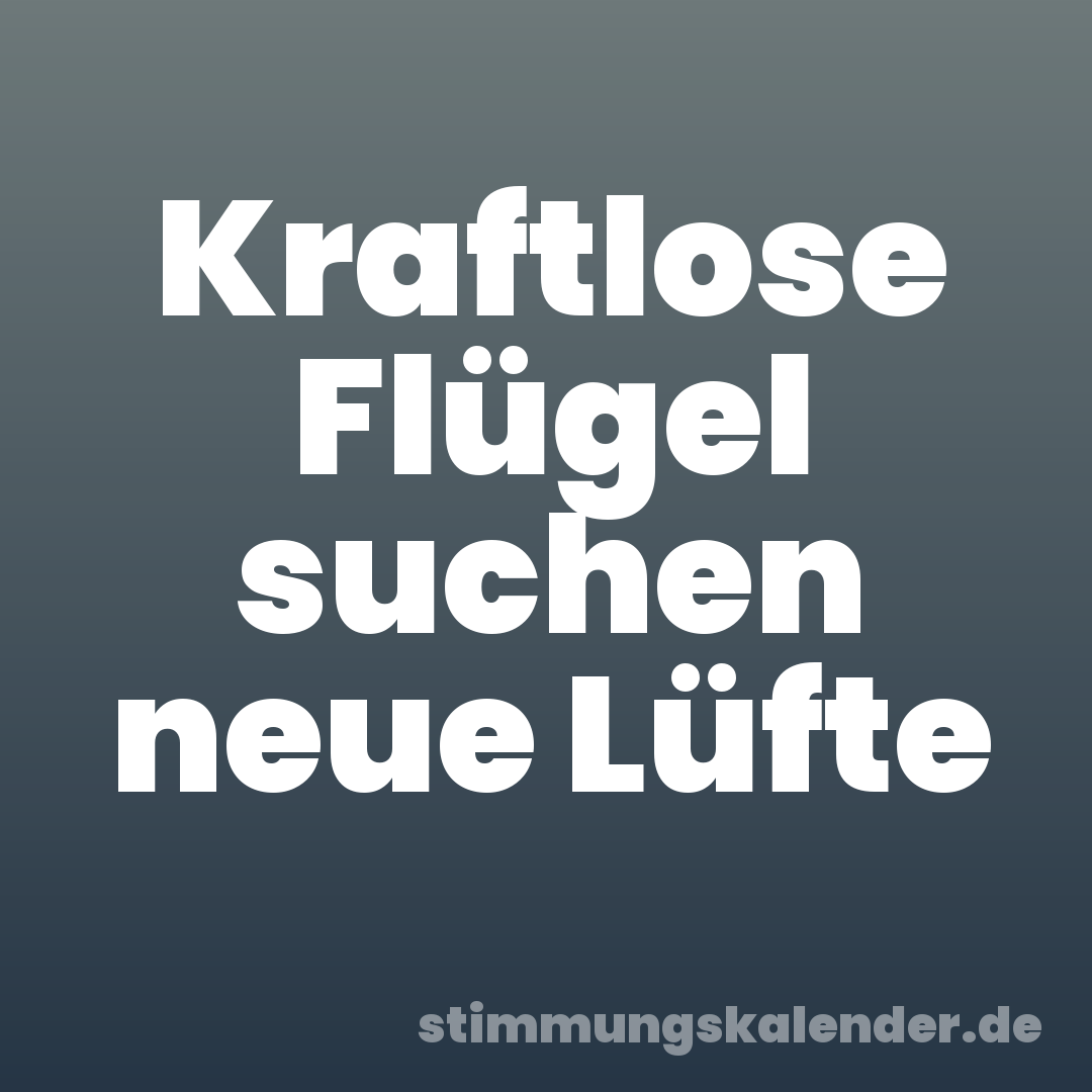 Kraftlose Flügel suchen neue Lüfte