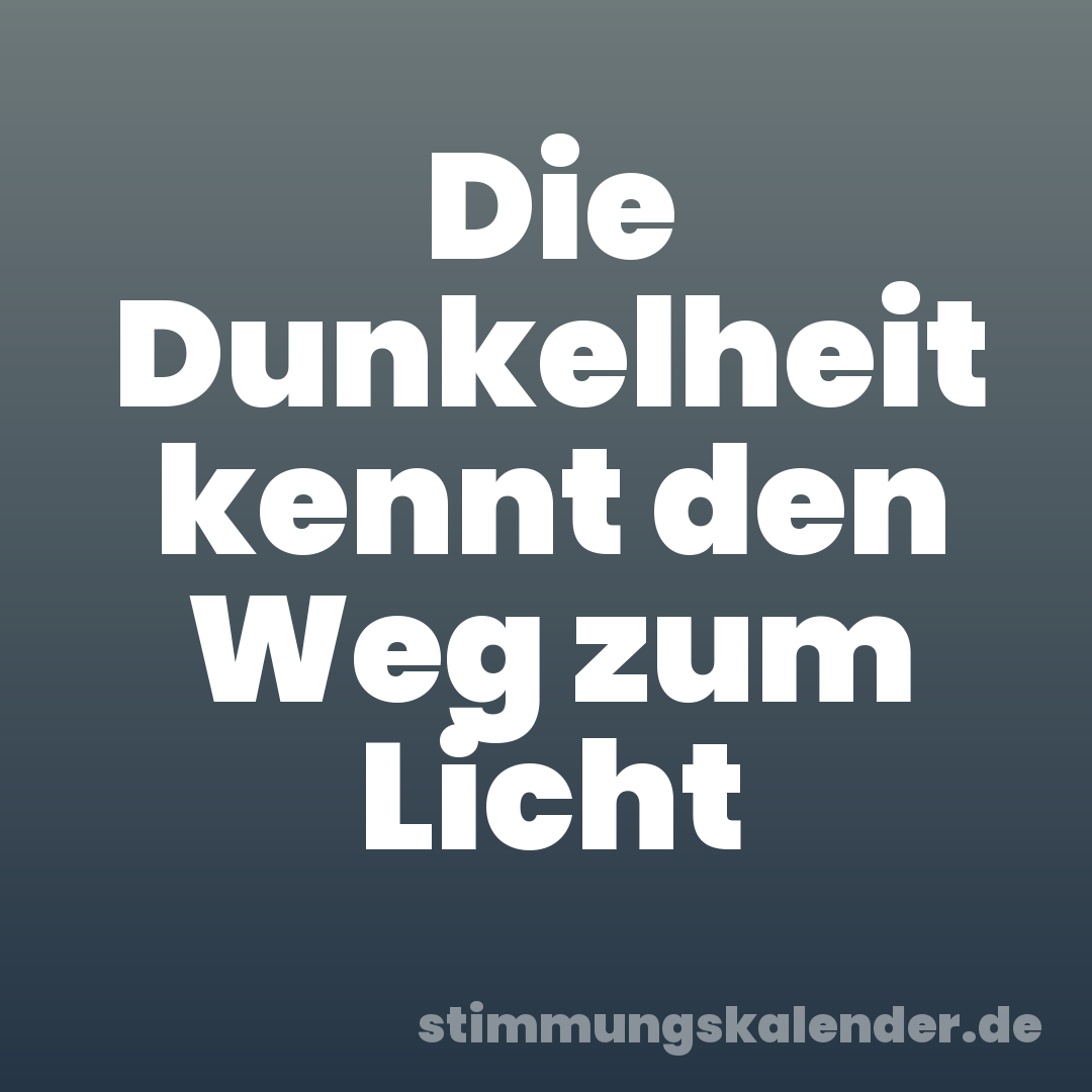 Die Dunkelheit kennt den Weg zum Licht