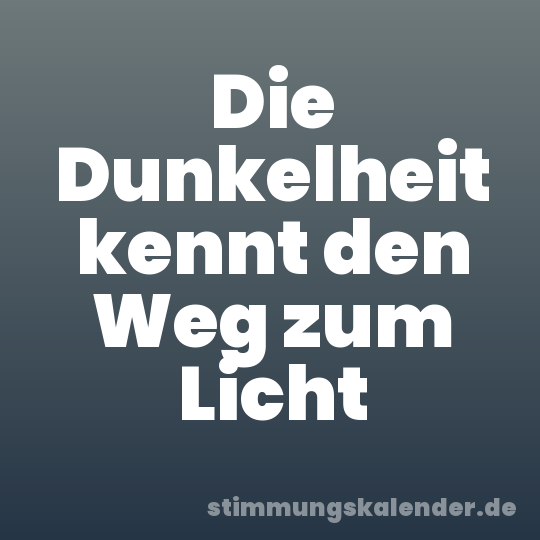 Die Dunkelheit kennt den Weg zum Licht