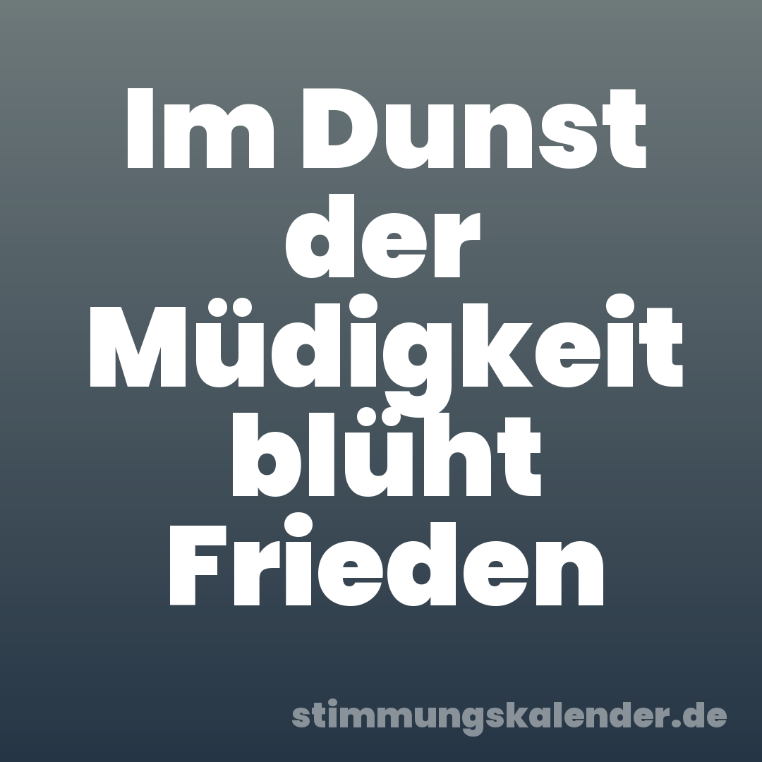 Im Dunst der Müdigkeit blüht Frieden