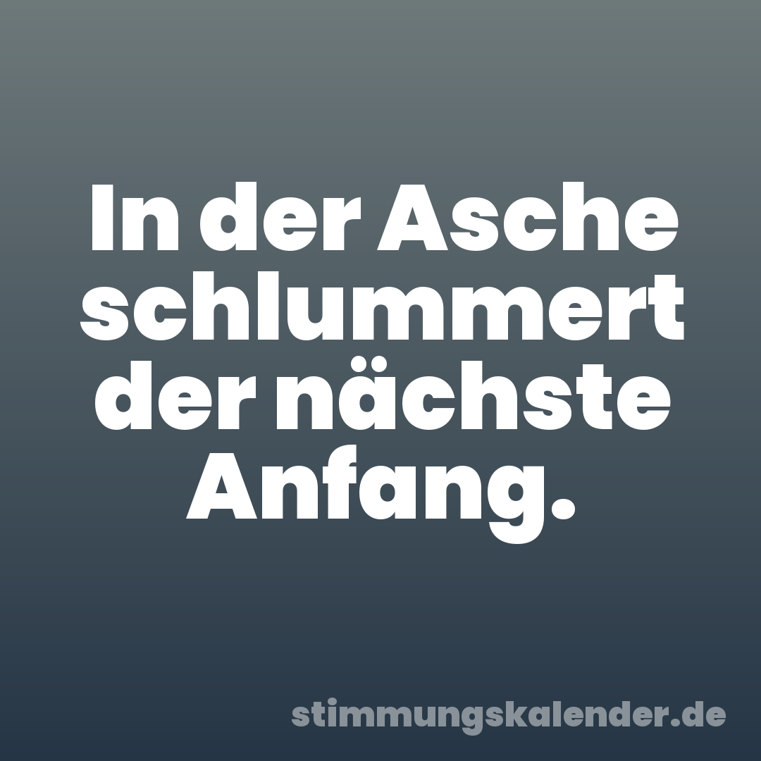 In der Asche schlummert der nächste Anfang.