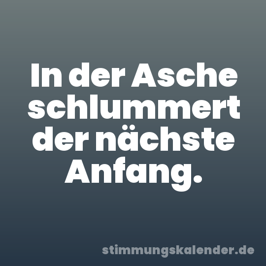 In der Asche schlummert der nächste Anfang.