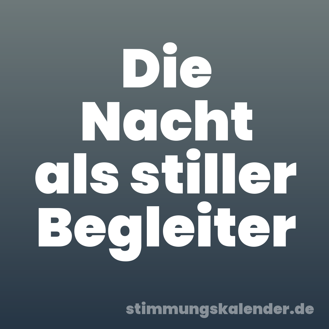 Die Nacht als stiller Begleiter