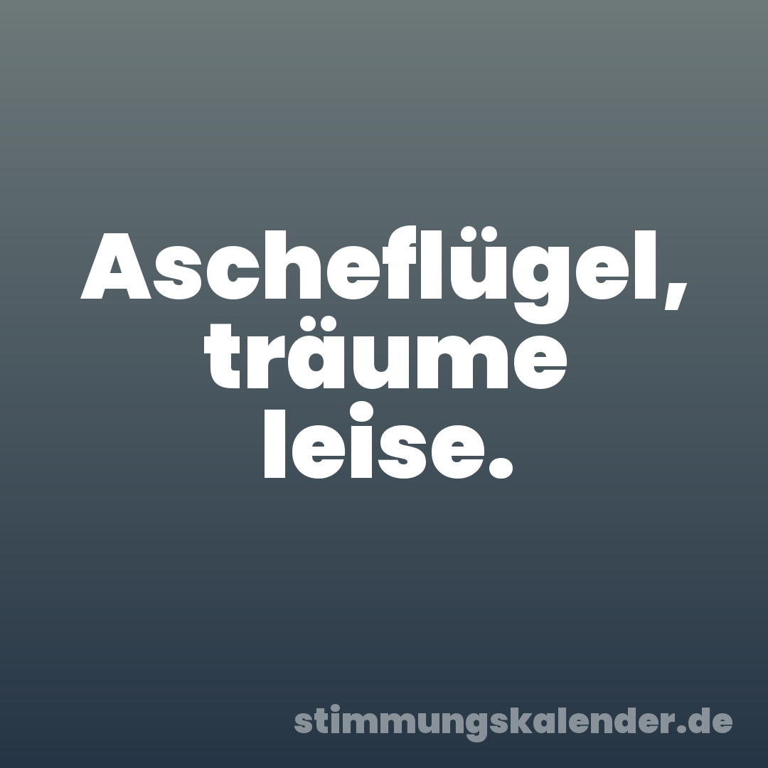 Ascheflügel, träume leise.