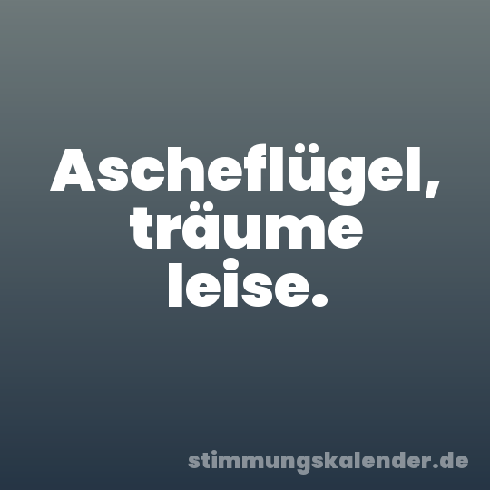 Ascheflügel, träume leise.