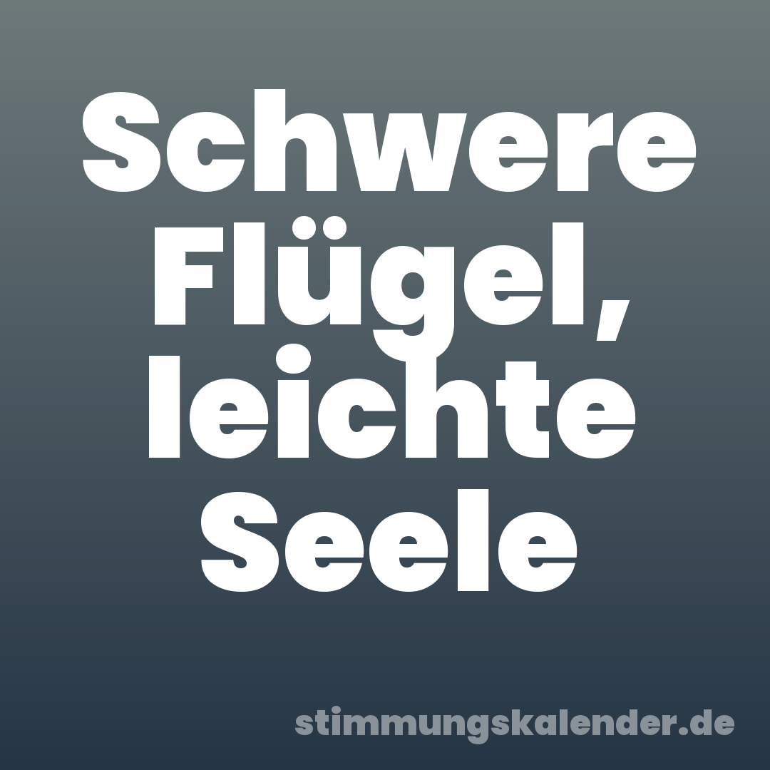 Schwere Flügel, leichte Seele