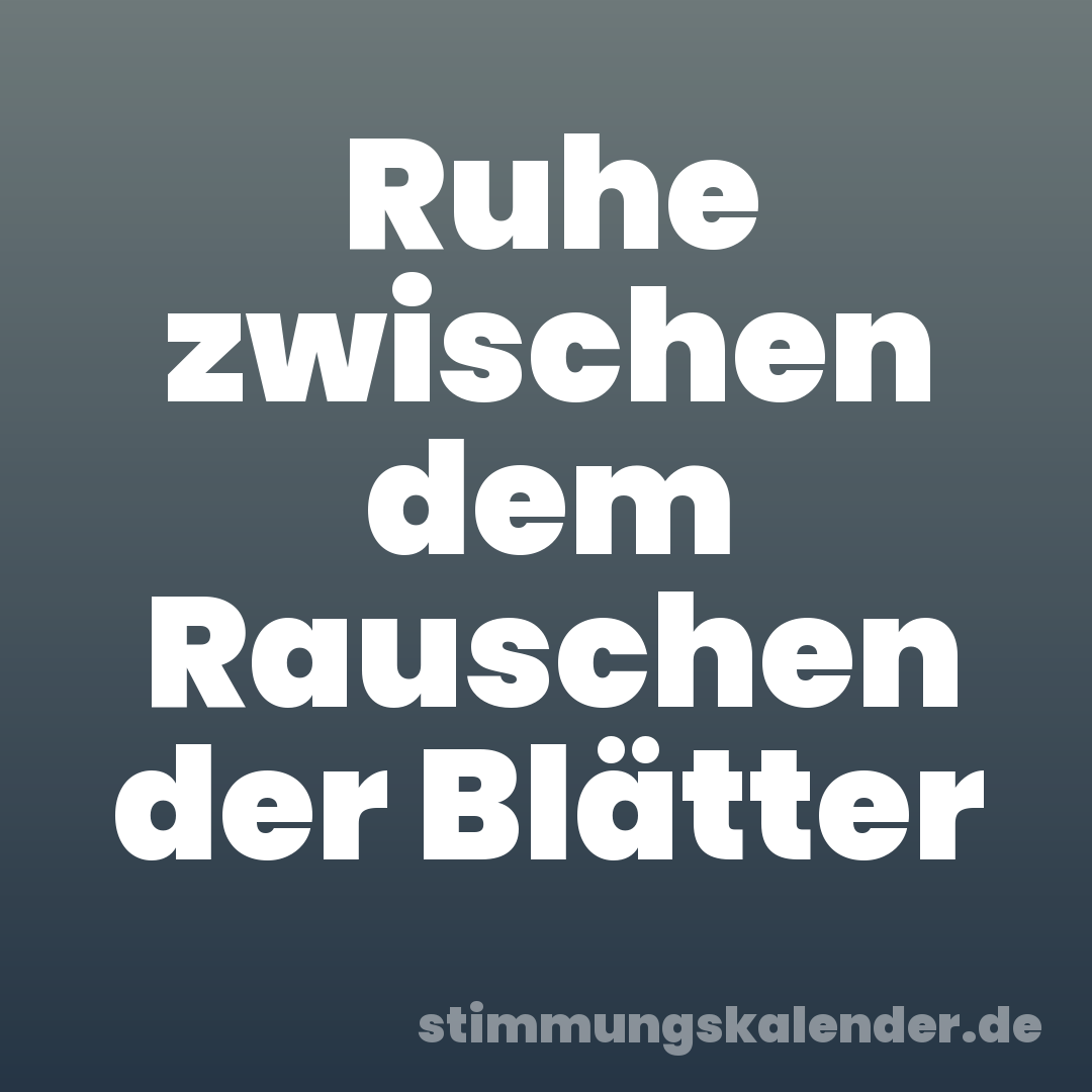 Ruhe zwischen dem Rauschen der Blätter