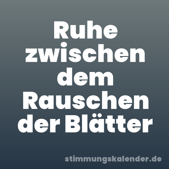 Ruhe zwischen dem Rauschen der Blätter
