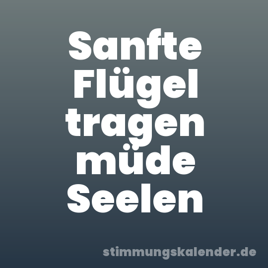 Sanfte Flügel tragen müde Seelen