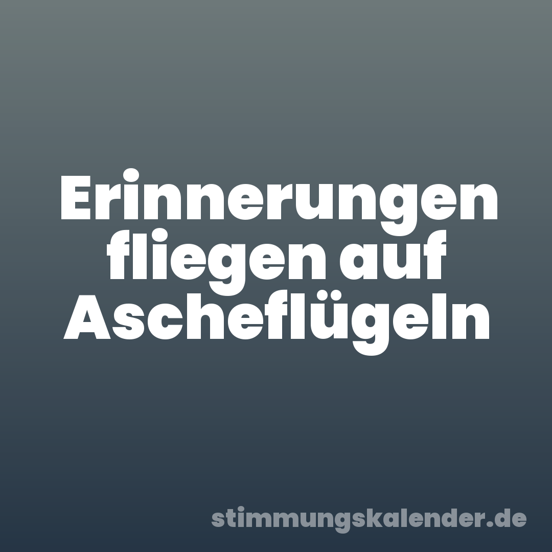 Erinnerungen fliegen auf Ascheflügeln